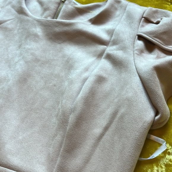 Calvin Klein Suede Like Blush Pink Dress with Sleeves NWOT - Picture 7 of 17